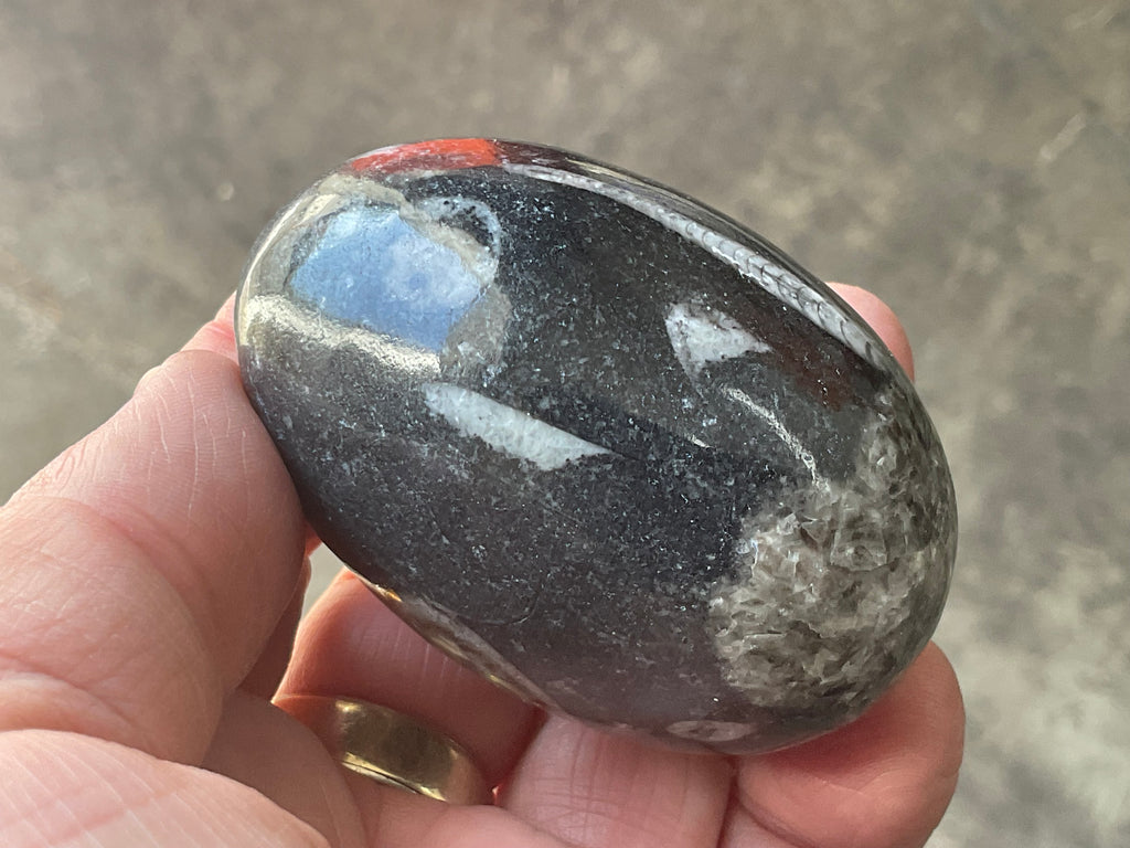 160g Orthoceras Egg 1B