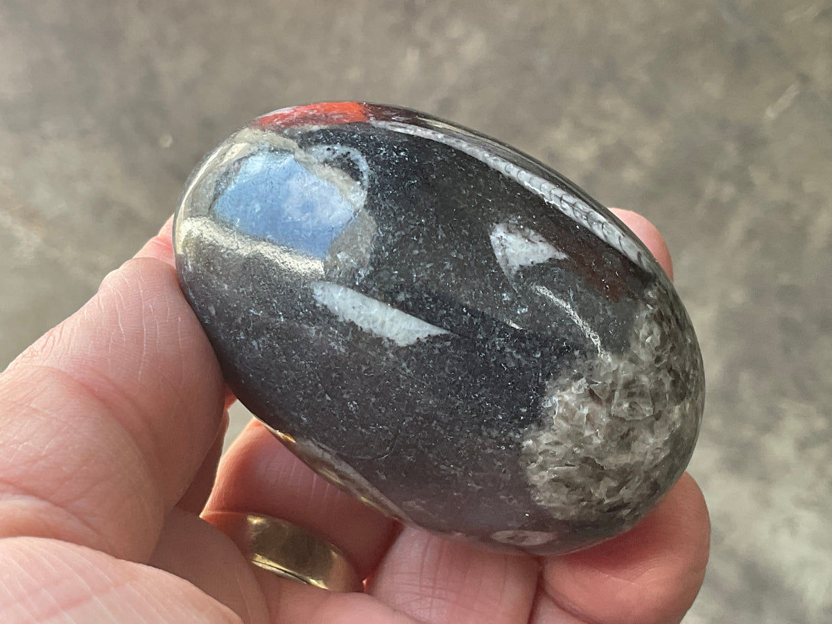 160g Orthoceras Egg 1B