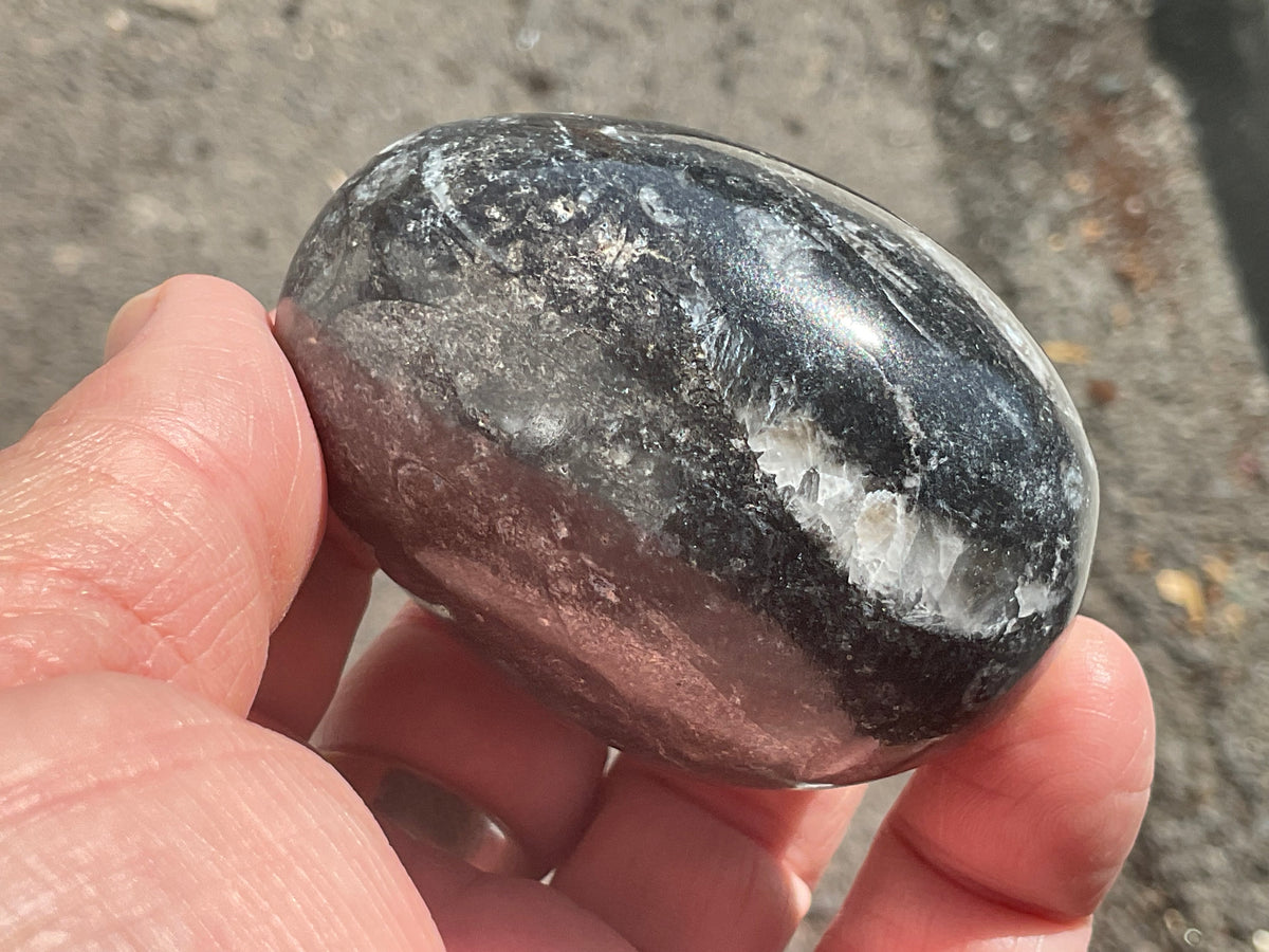 162g Orthoceras Egg 2A