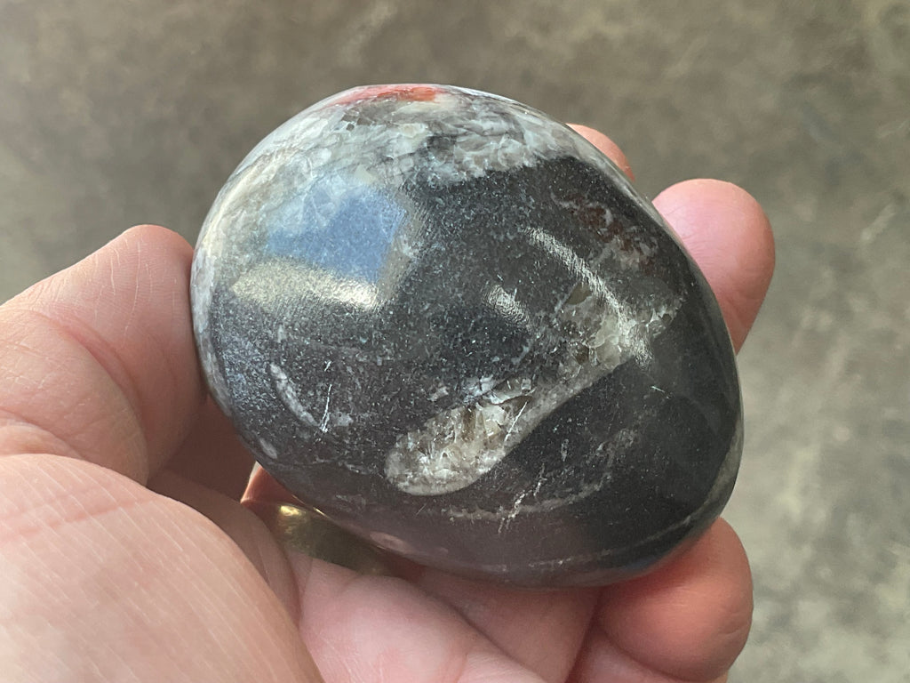 188g Orthoceras Egg 2B