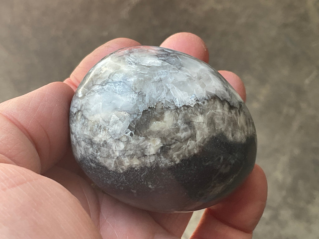 188g Orthoceras Egg 2B