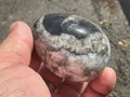 188g Orthoceras Egg 2B
