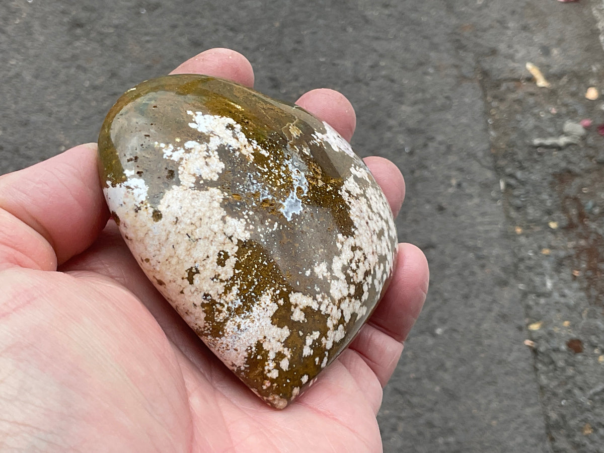 257g Orbicular Ocean Jasper Heart