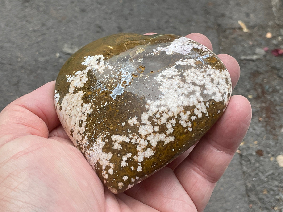 257g Orbicular Ocean Jasper Heart