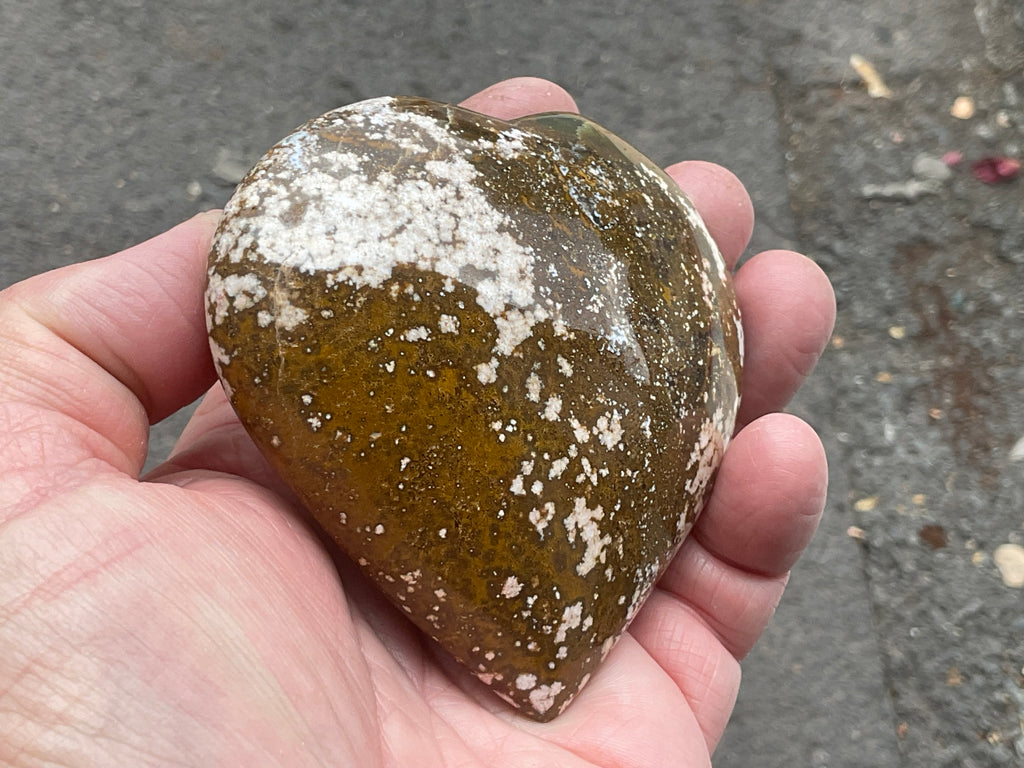 257g Orbicular Ocean Jasper Heart