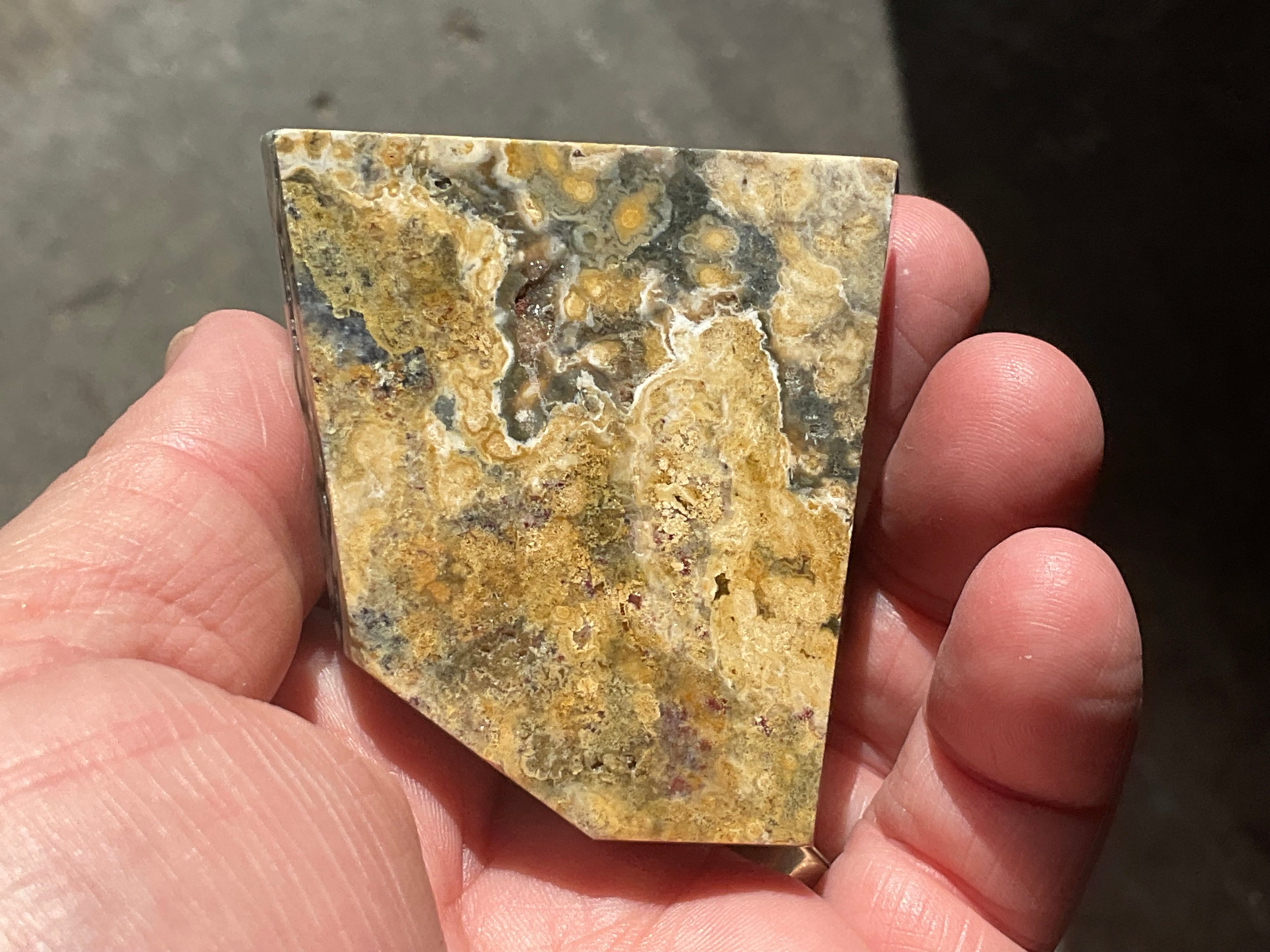 132g Ocean Jasper Freeform Piece 1C