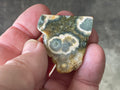 24g ‘Cloud’ Ocean Jasper Polished Piece 3A