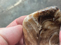 111g Chocolate Calcite/Aragonite Freeform A