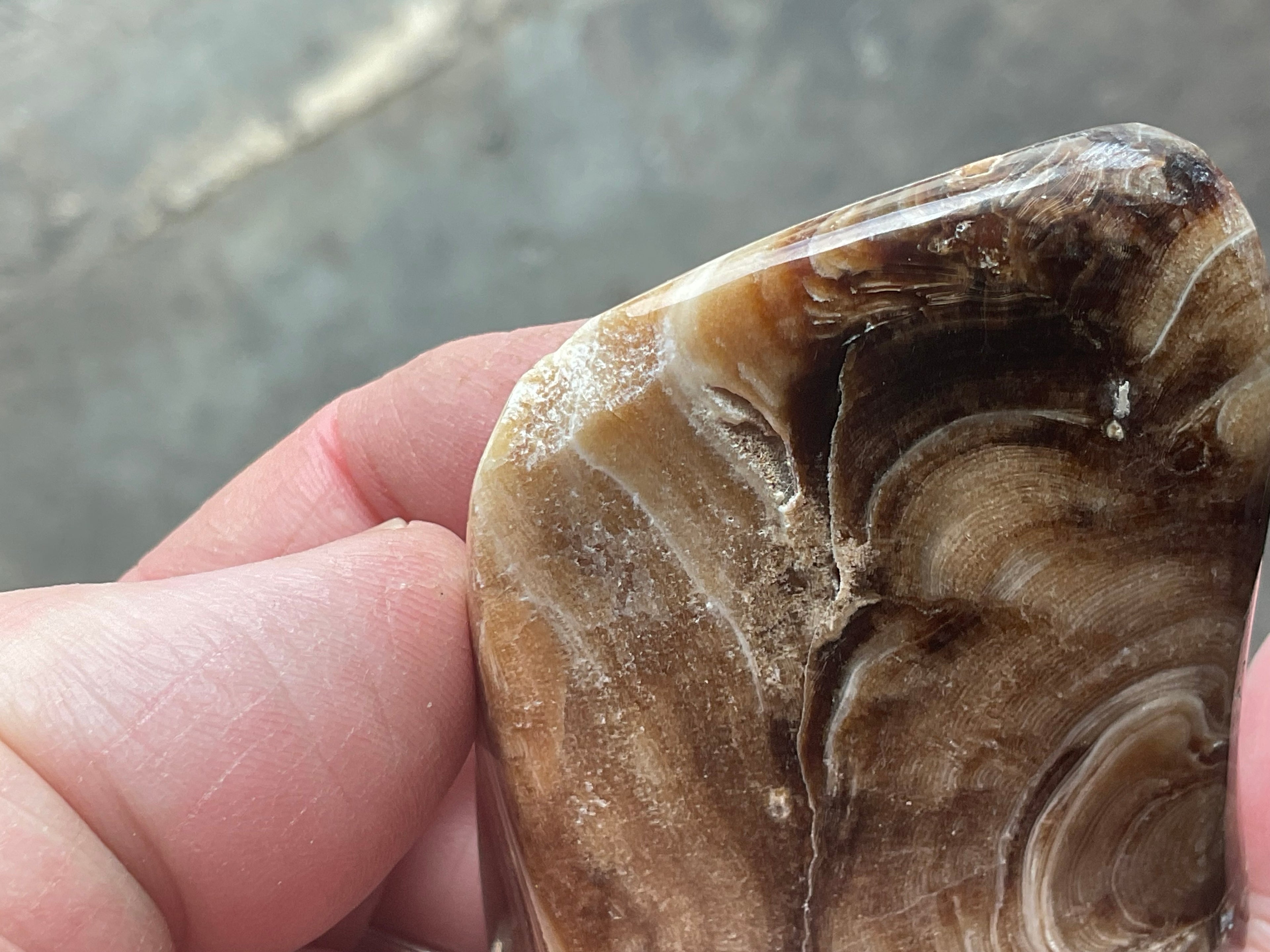 111g Chocolate Calcite/Aragonite Freeform A