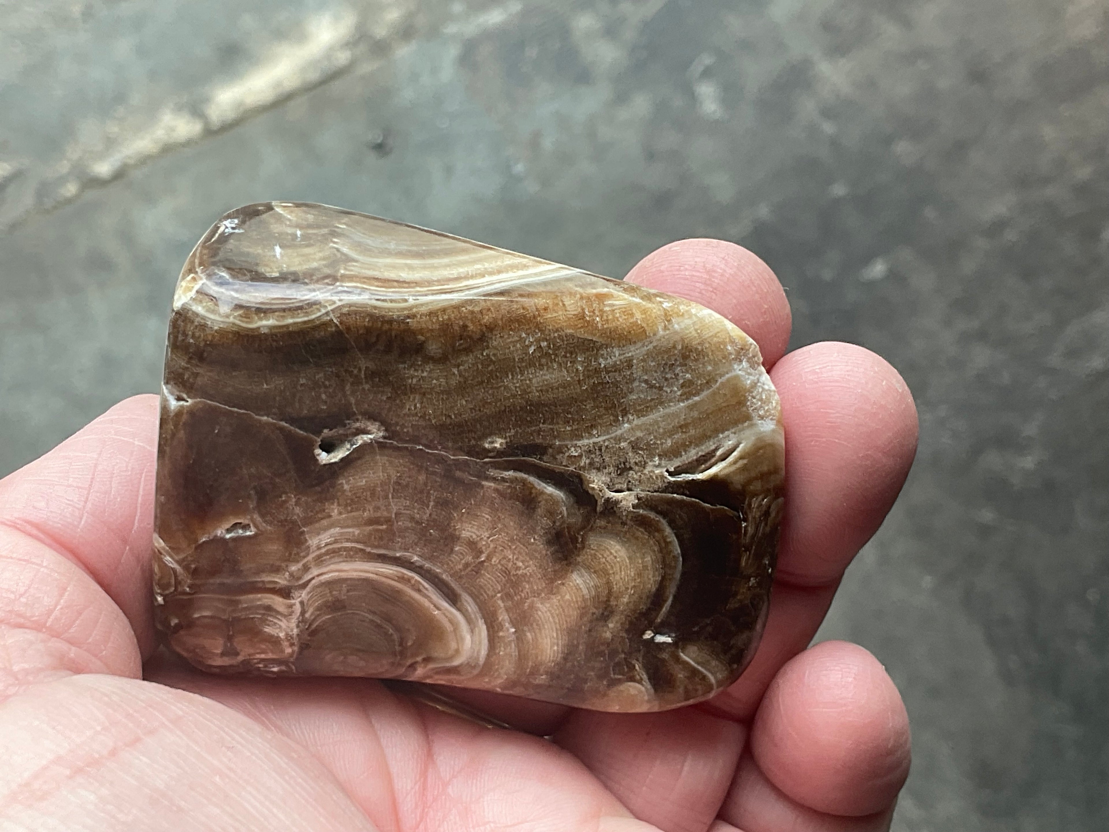 111g Chocolate Calcite/Aragonite Freeform A
