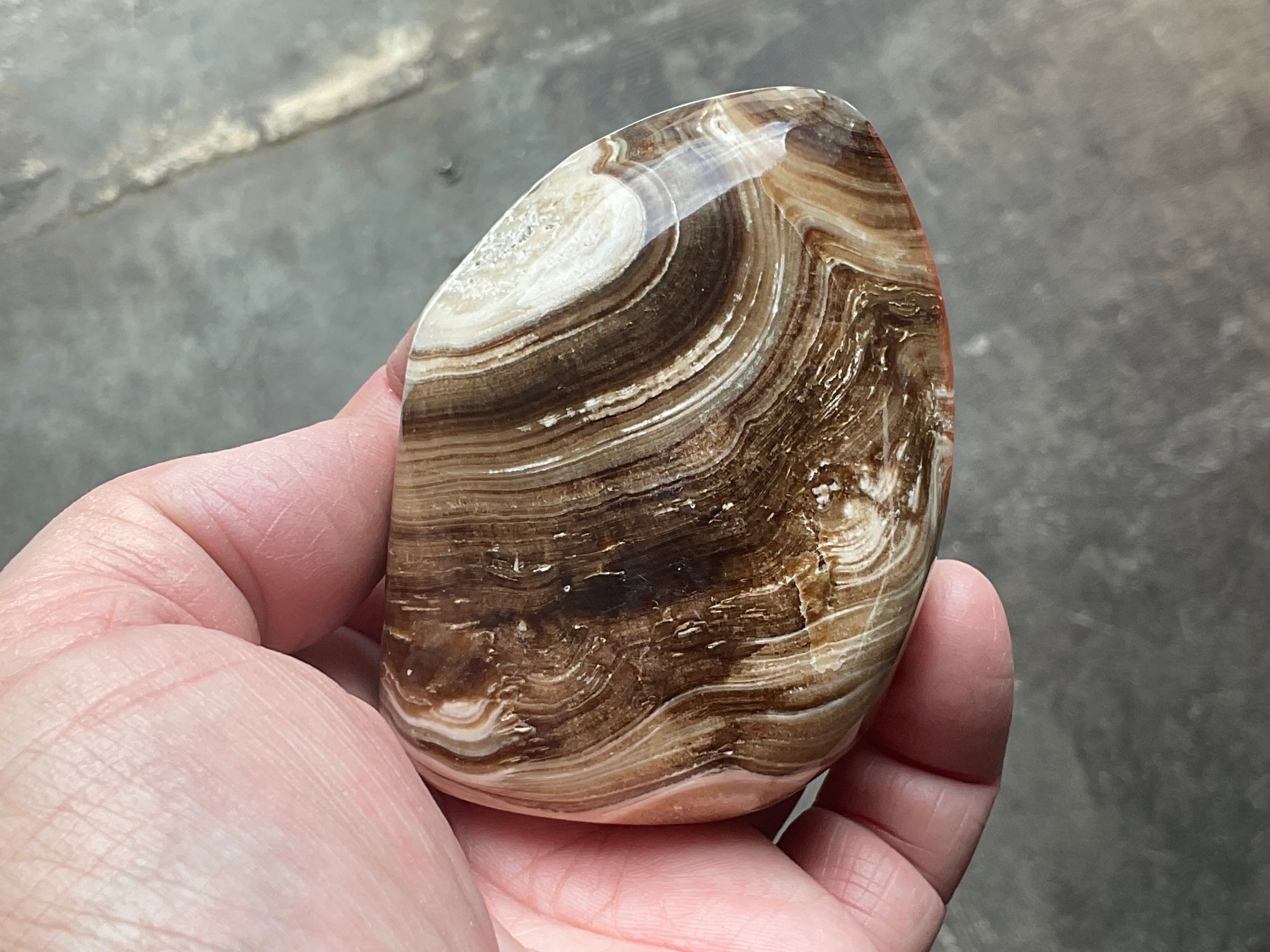 204g Chocolate Calcite/Aragonite Freeform C