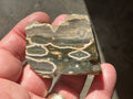 72g ‘Cloud’ Ocean Jasper Polished Piece 5B