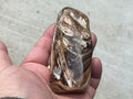 229g Chocolate Calcite/Aragonite Freeform D