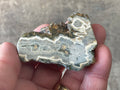 74g ‘Cloud’ Ocean Jasper Polished Piece 5C