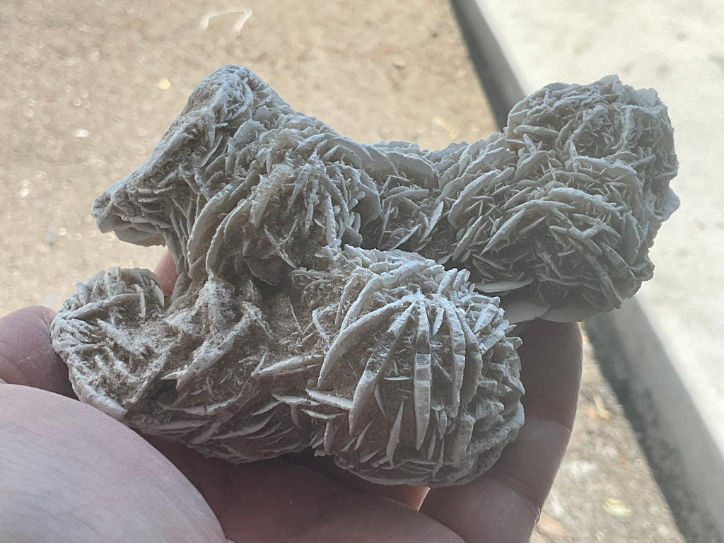 314g Mexican Desert Rose Specimen 11A