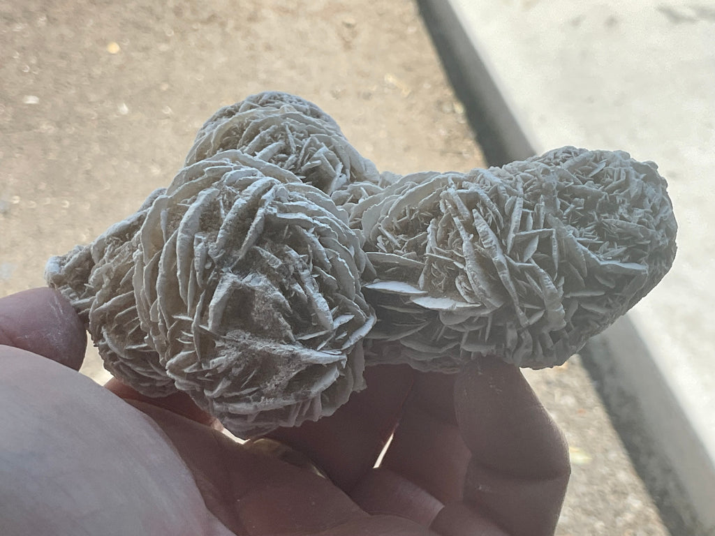 314g Mexican Desert Rose Specimen 11A