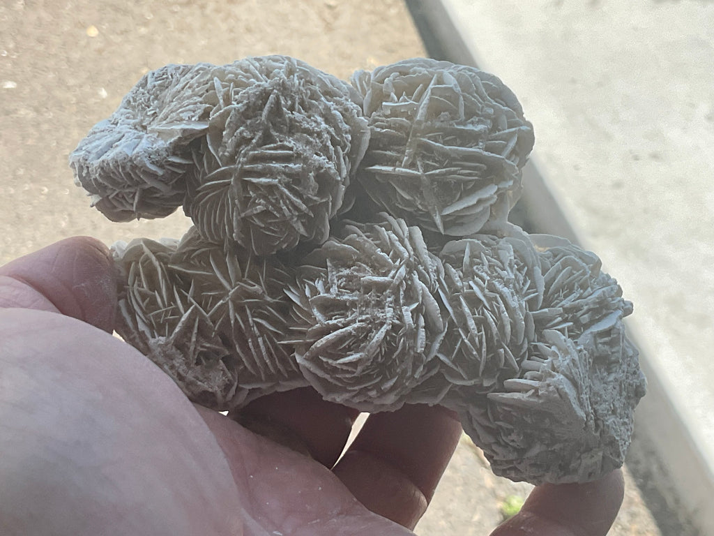 314g Mexican Desert Rose Specimen 11A