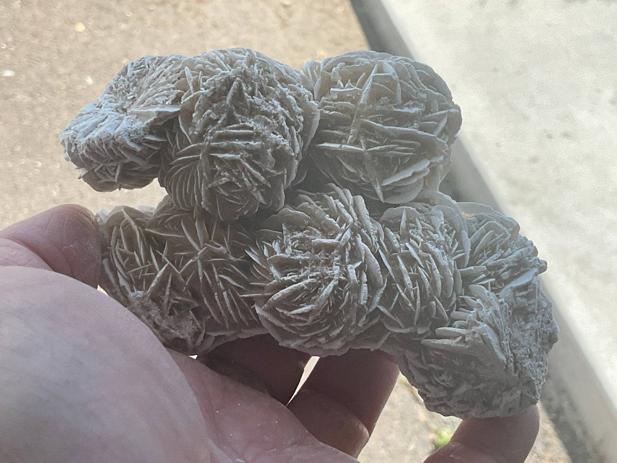 314g Mexican Desert Rose Specimen 11A