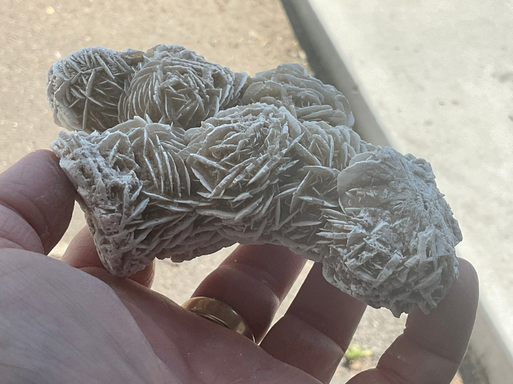 314g Mexican Desert Rose Specimen 11A