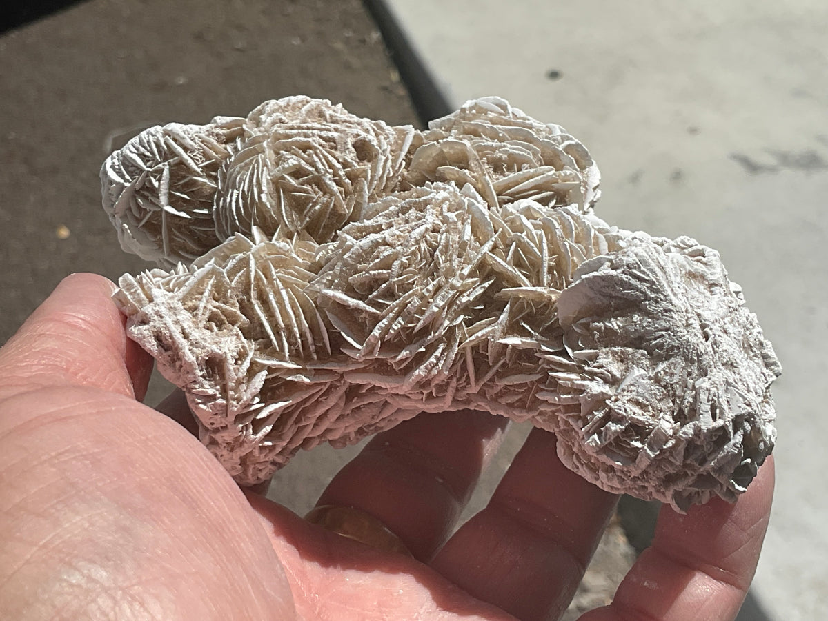 314g Mexican Desert Rose Specimen 11A