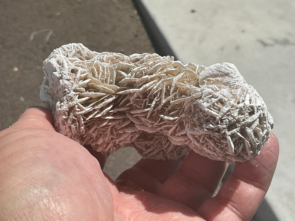 314g Mexican Desert Rose Specimen 11A