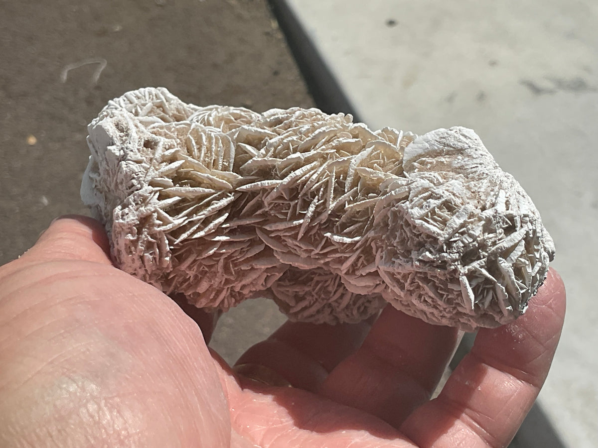 314g Mexican Desert Rose Specimen 11A