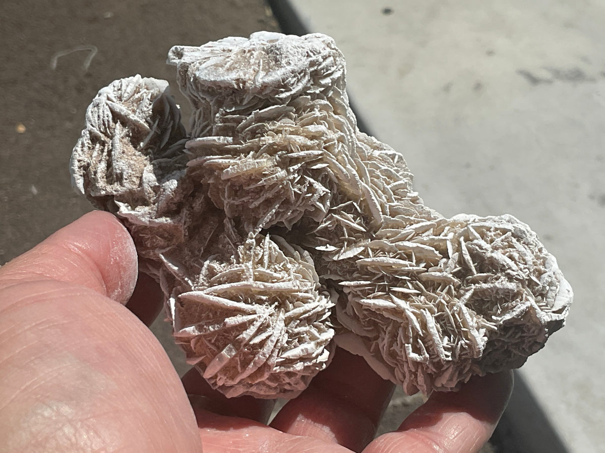 314g Mexican Desert Rose Specimen 11A
