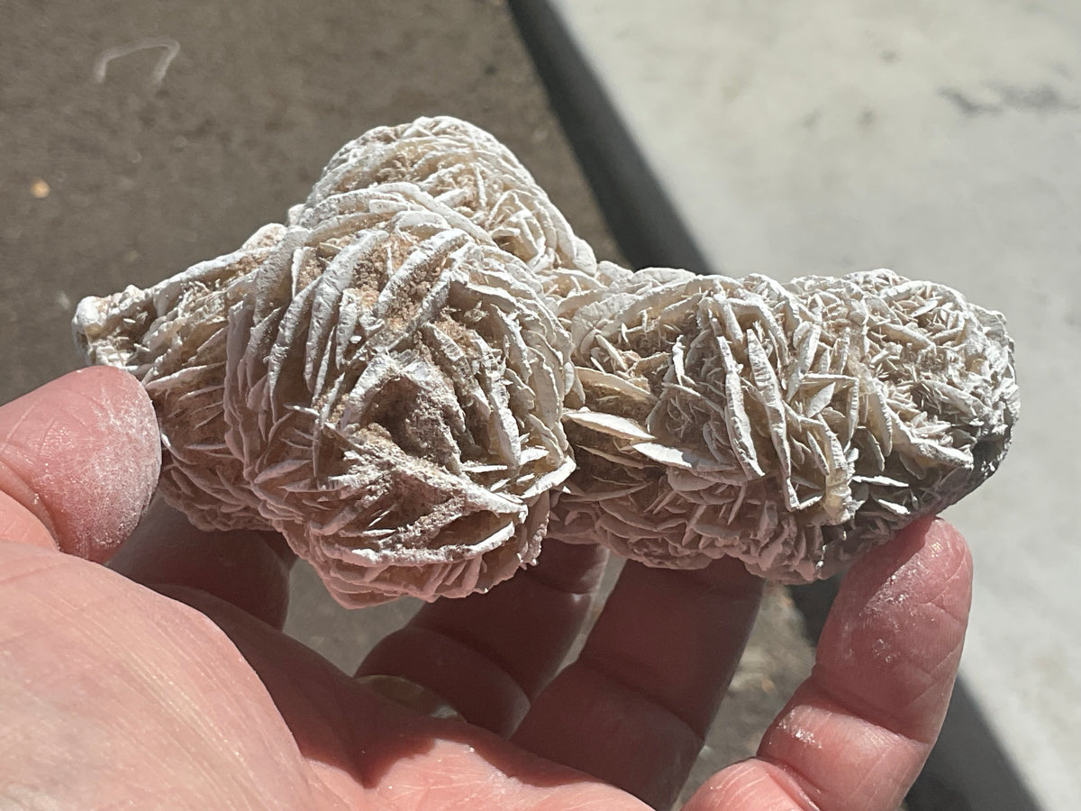 314g Mexican Desert Rose Specimen 11A