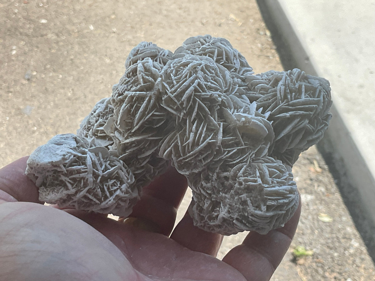 416g Mexican Desert Rose Specimen 11B