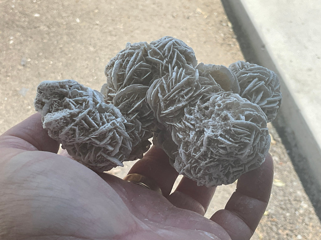 416g Mexican Desert Rose Specimen 11B