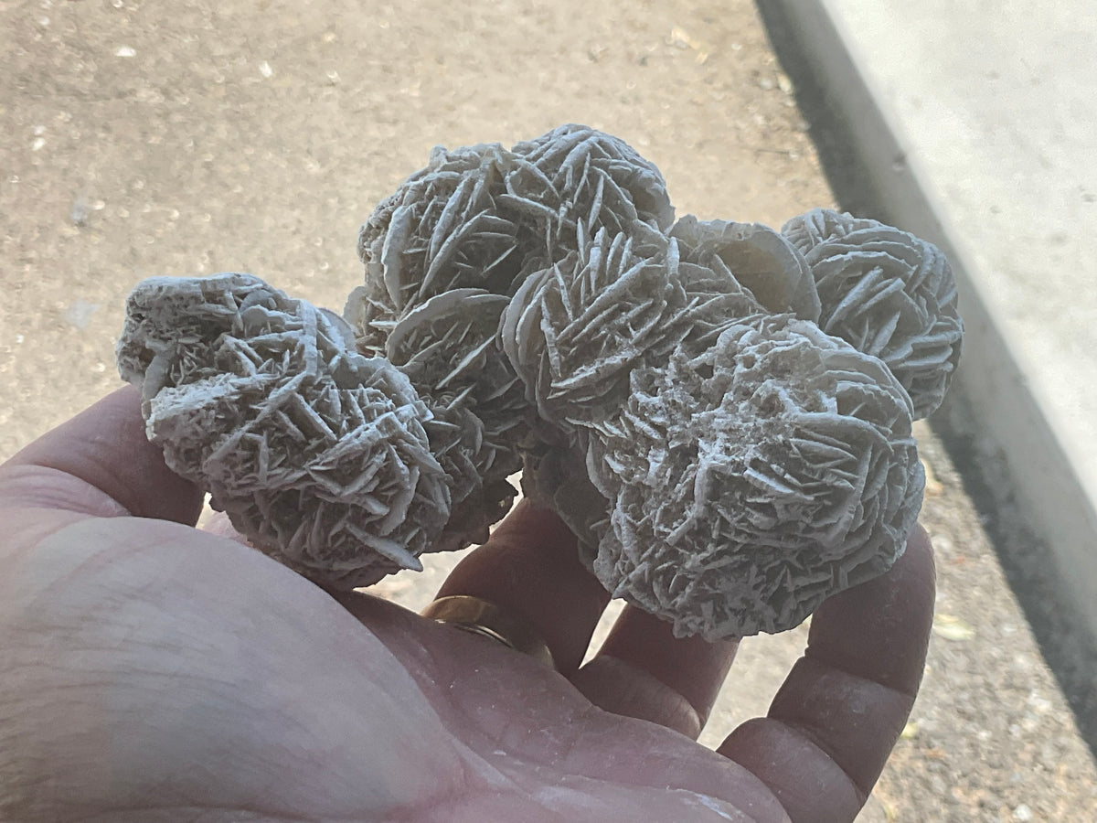 416g Mexican Desert Rose Specimen 11B