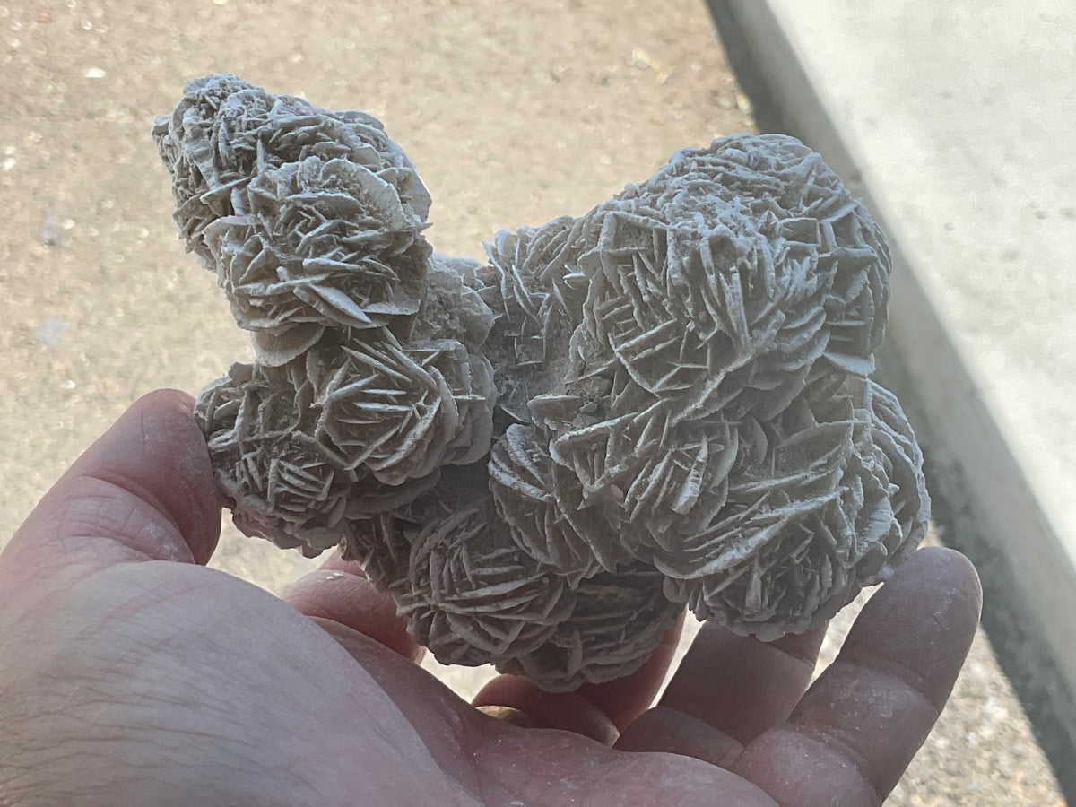416g Mexican Desert Rose Specimen 11B