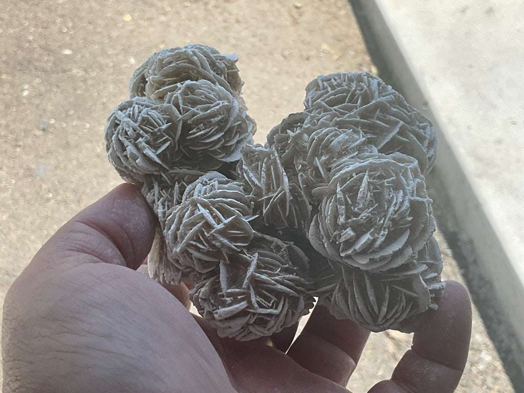 416g Mexican Desert Rose Specimen 11B