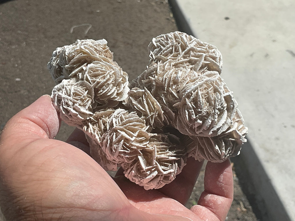 416g Mexican Desert Rose Specimen 11B