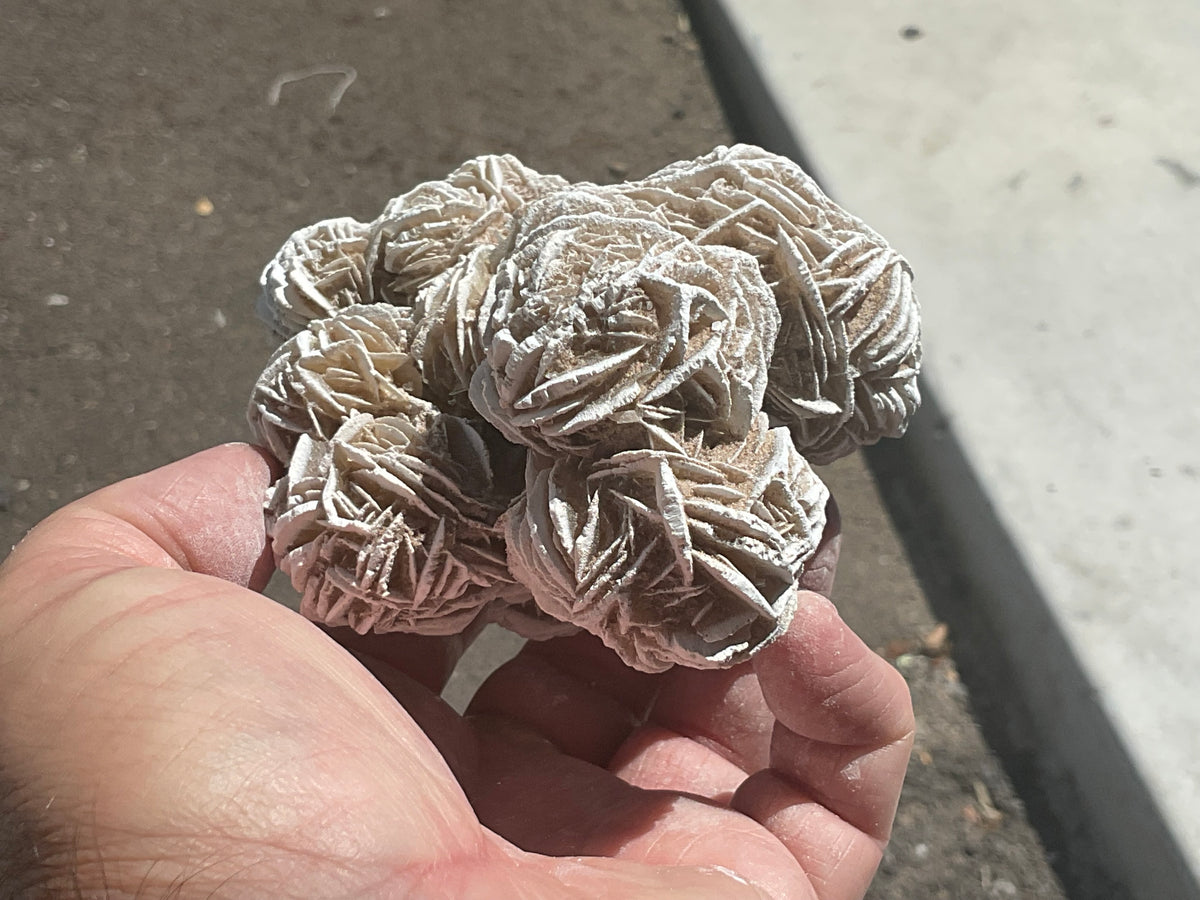 416g Mexican Desert Rose Specimen 11B