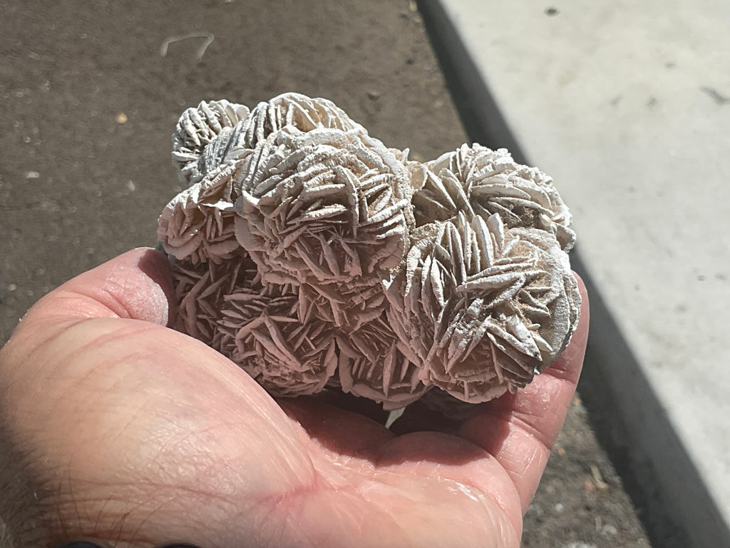 416g Mexican Desert Rose Specimen 11B