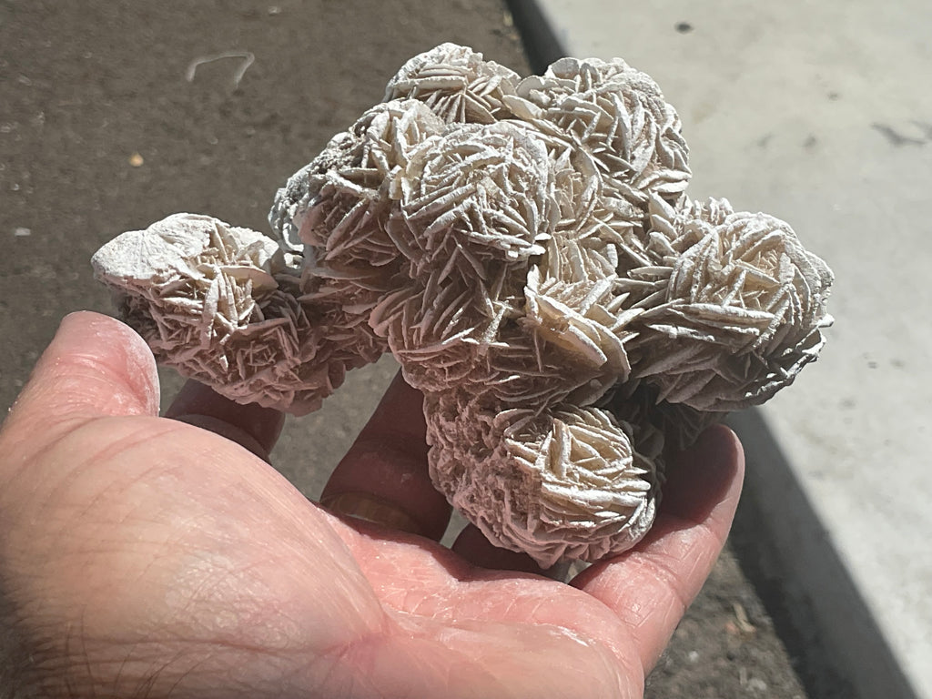 416g Mexican Desert Rose Specimen 11B
