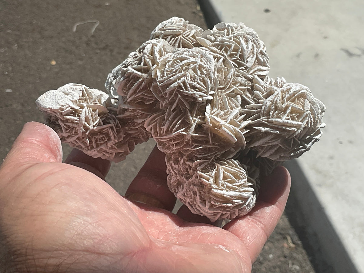 416g Mexican Desert Rose Specimen 11B