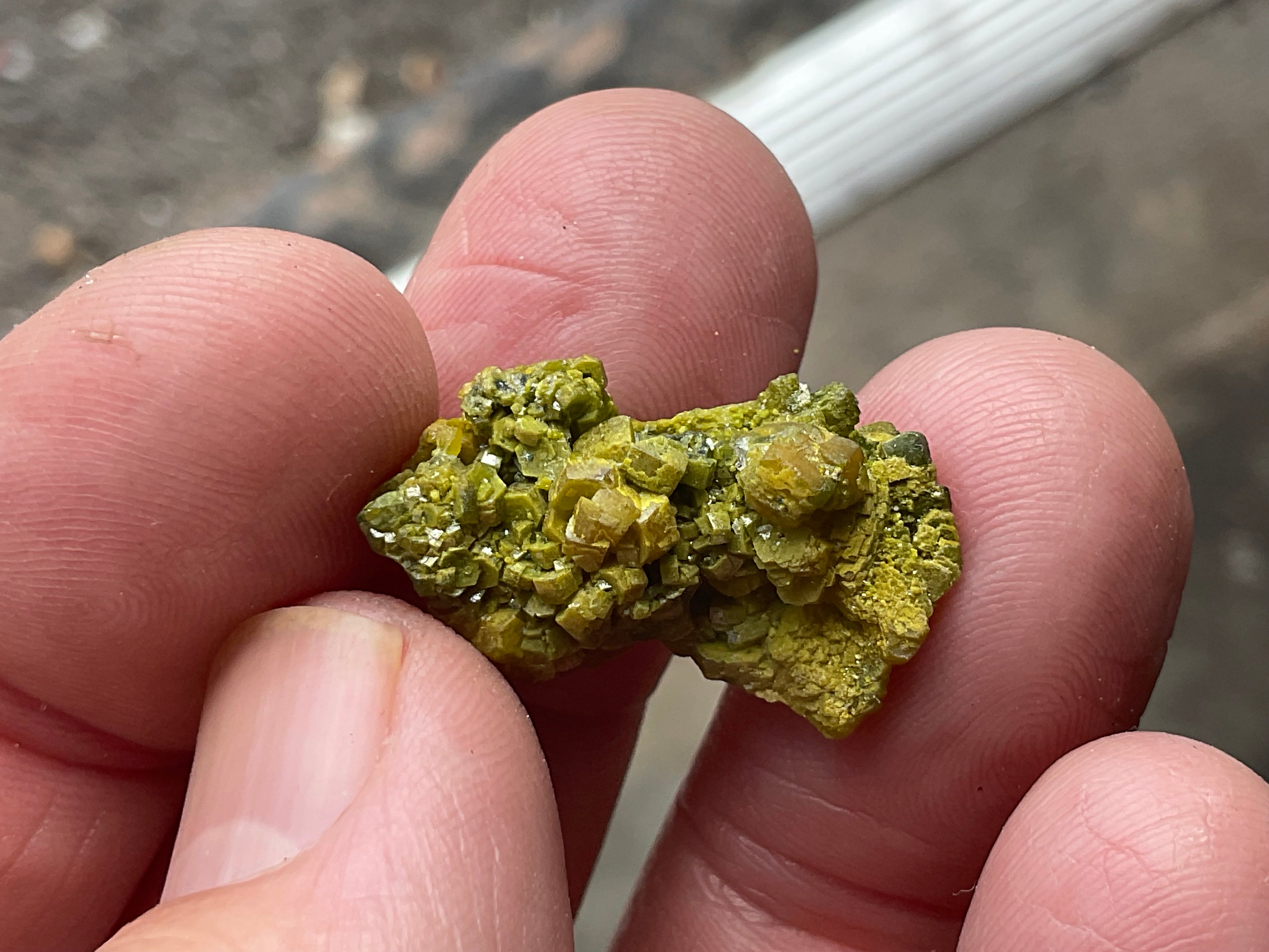 8g Western Australian Pyromorphite Specimen 4A