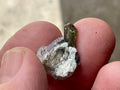 2g Diopside Crystal Specimen 1A from Yinnietharra, Australia