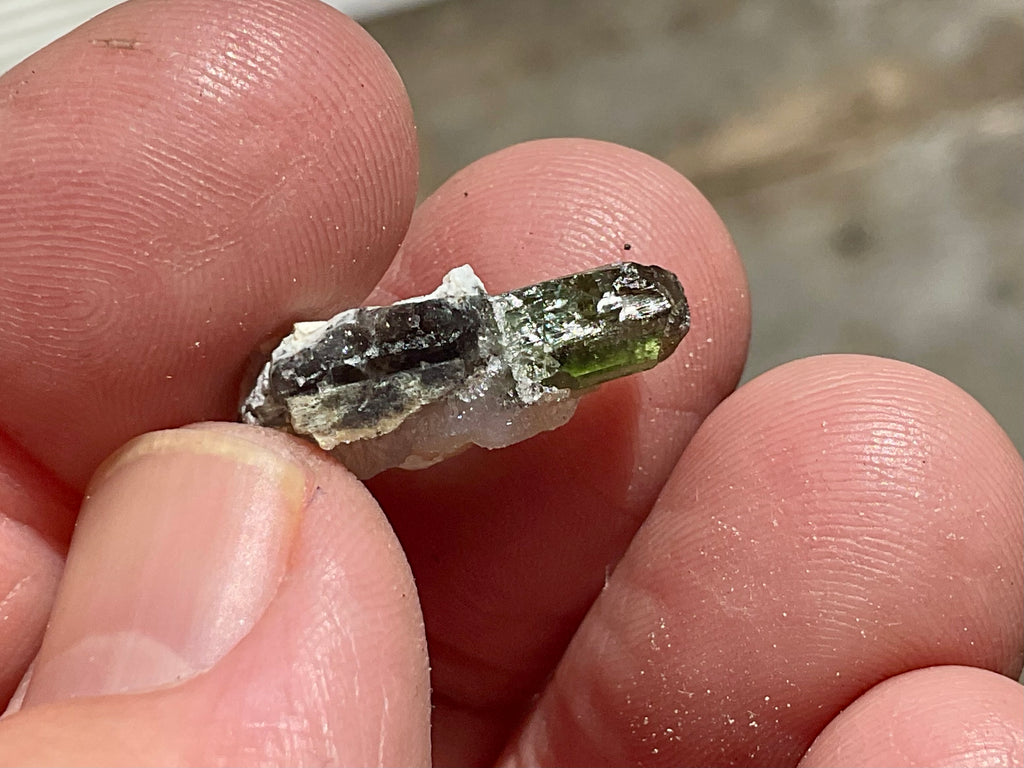 2g Diopside Crystal Specimen 1A from Yinnietharra, Australia