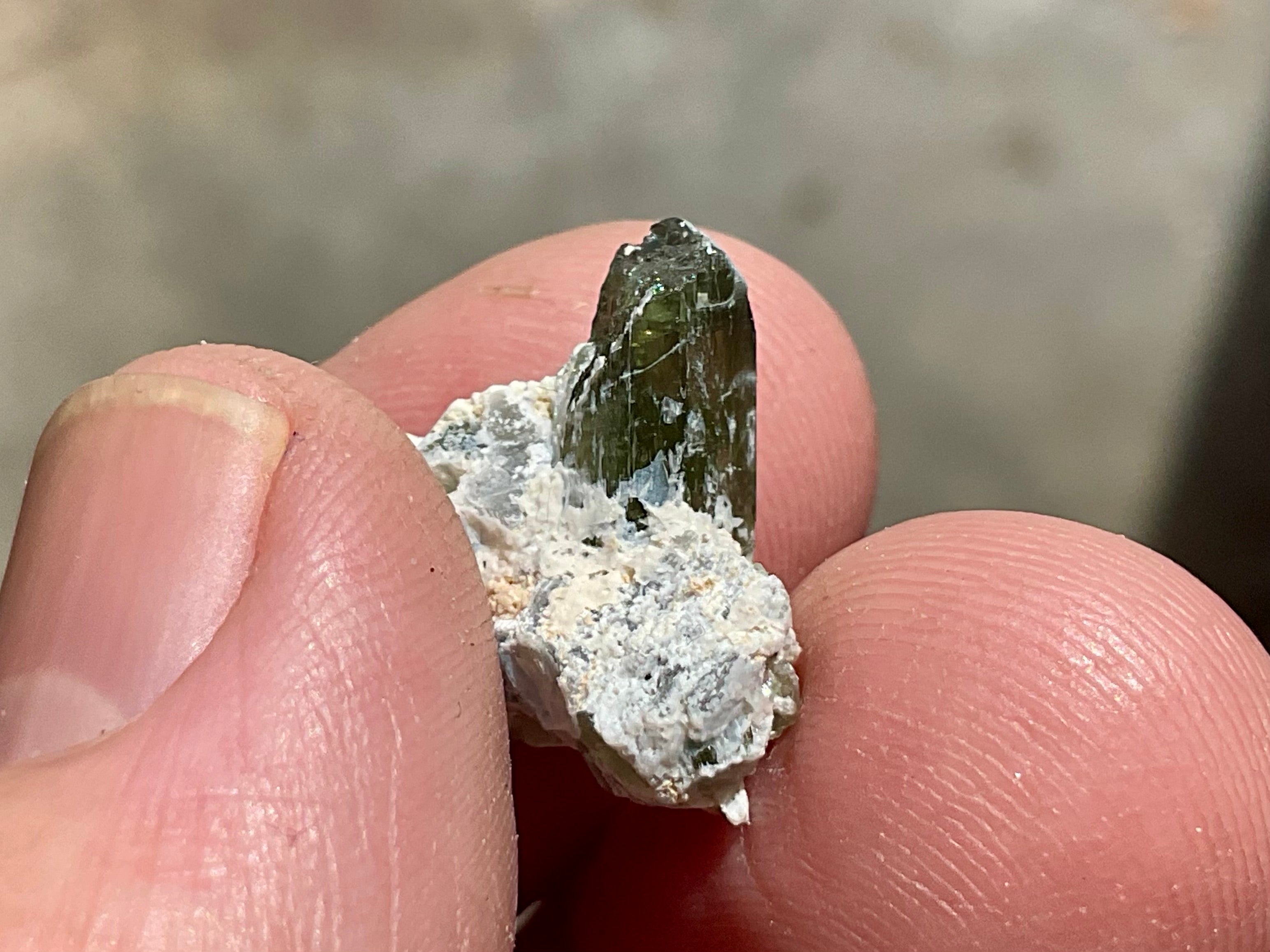 2g Diopside Crystal Specimen 1B from Yinnietharra, Australia