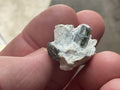 6g Diopside Crystal Specimen 2A from Yinnietharra, Australia