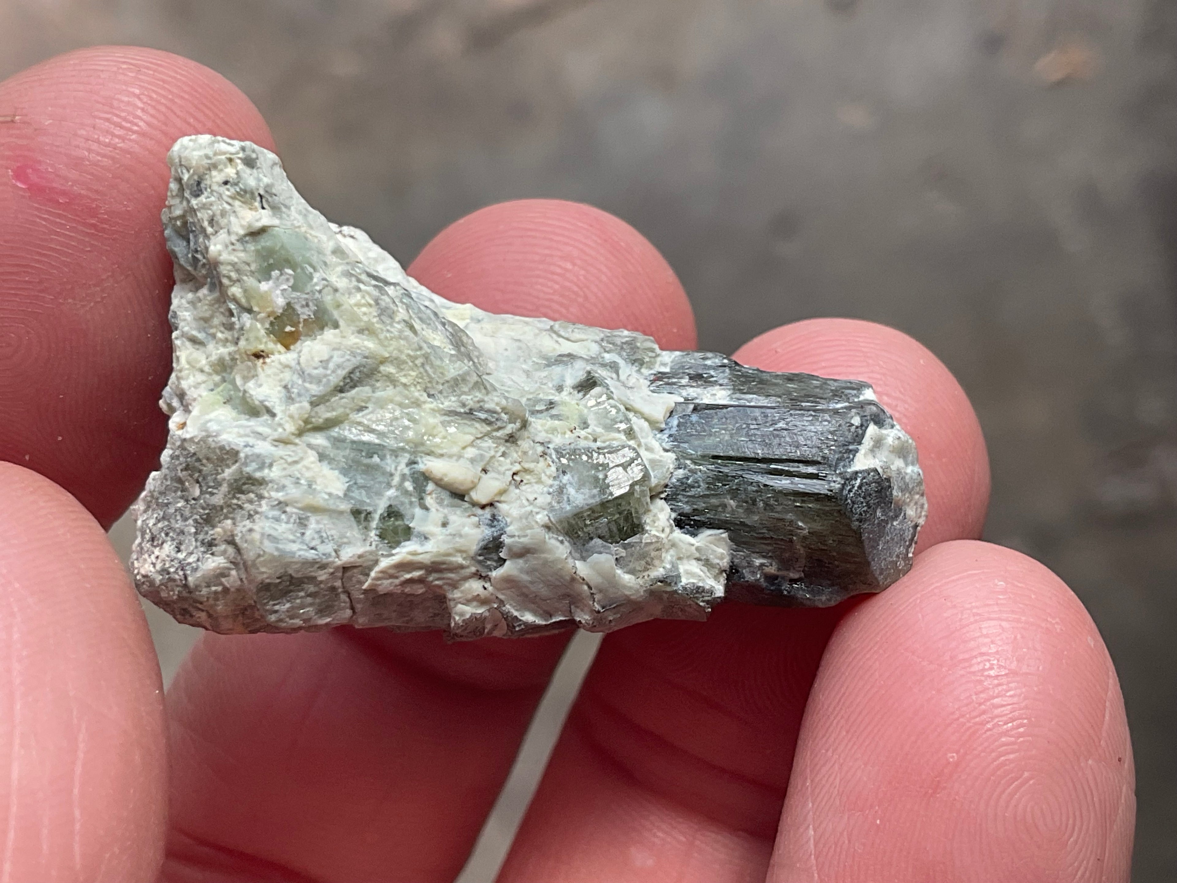 16g Diopside Crystal Specimen 3C from Yinnietharra, Australia