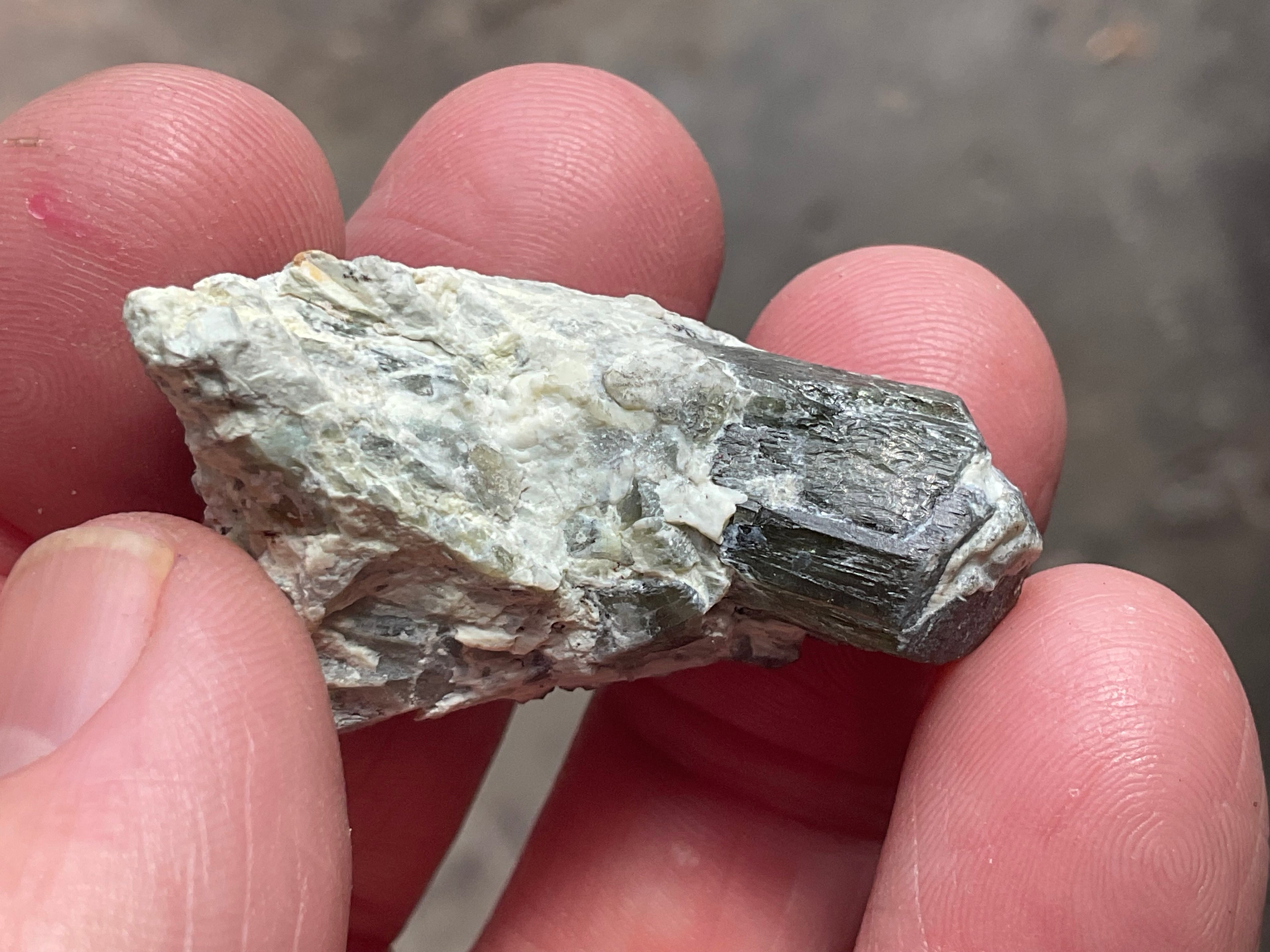 16g Diopside Crystal Specimen 3C from Yinnietharra, Australia