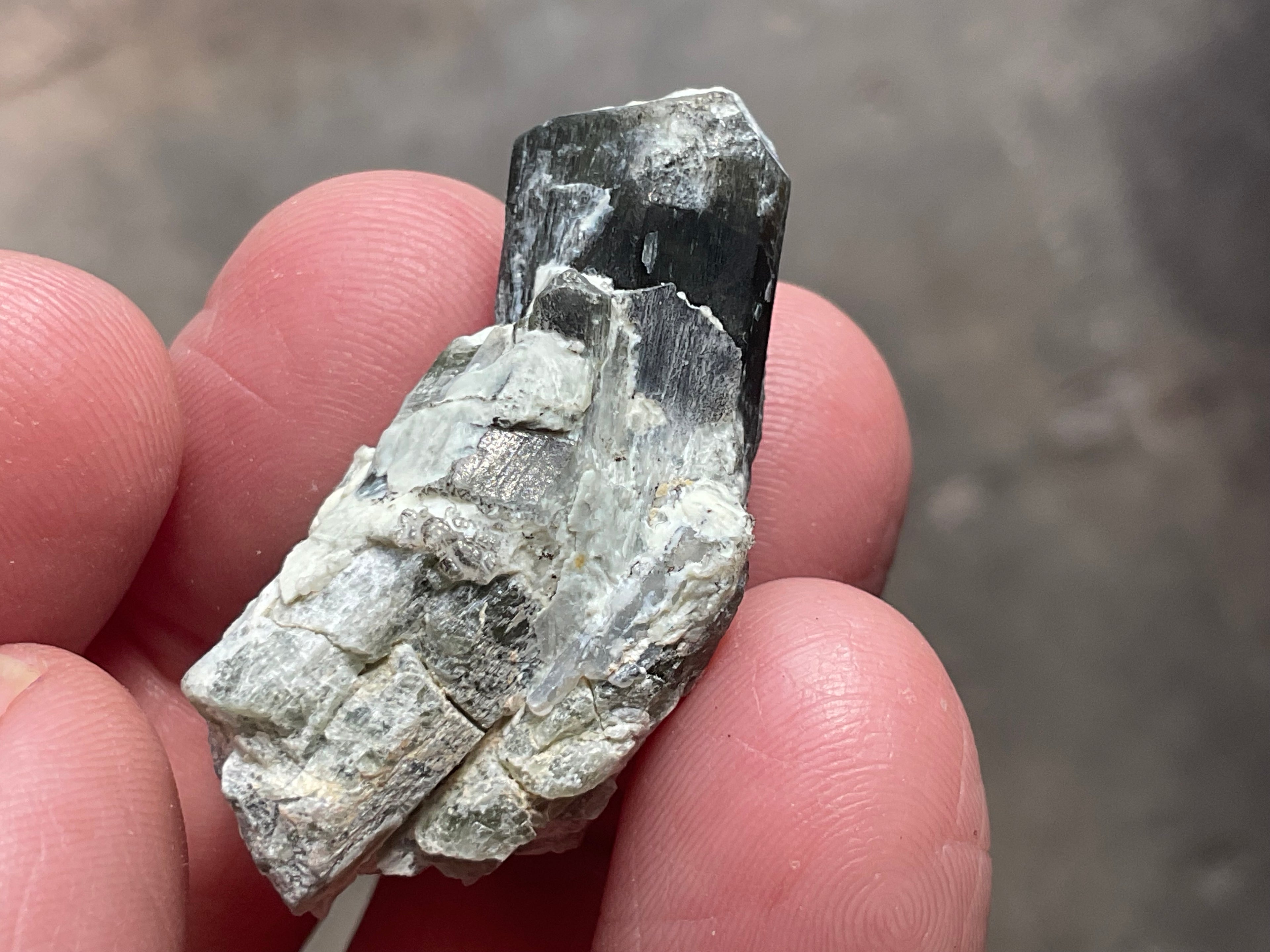 16g Diopside Crystal Specimen 3C from Yinnietharra, Australia
