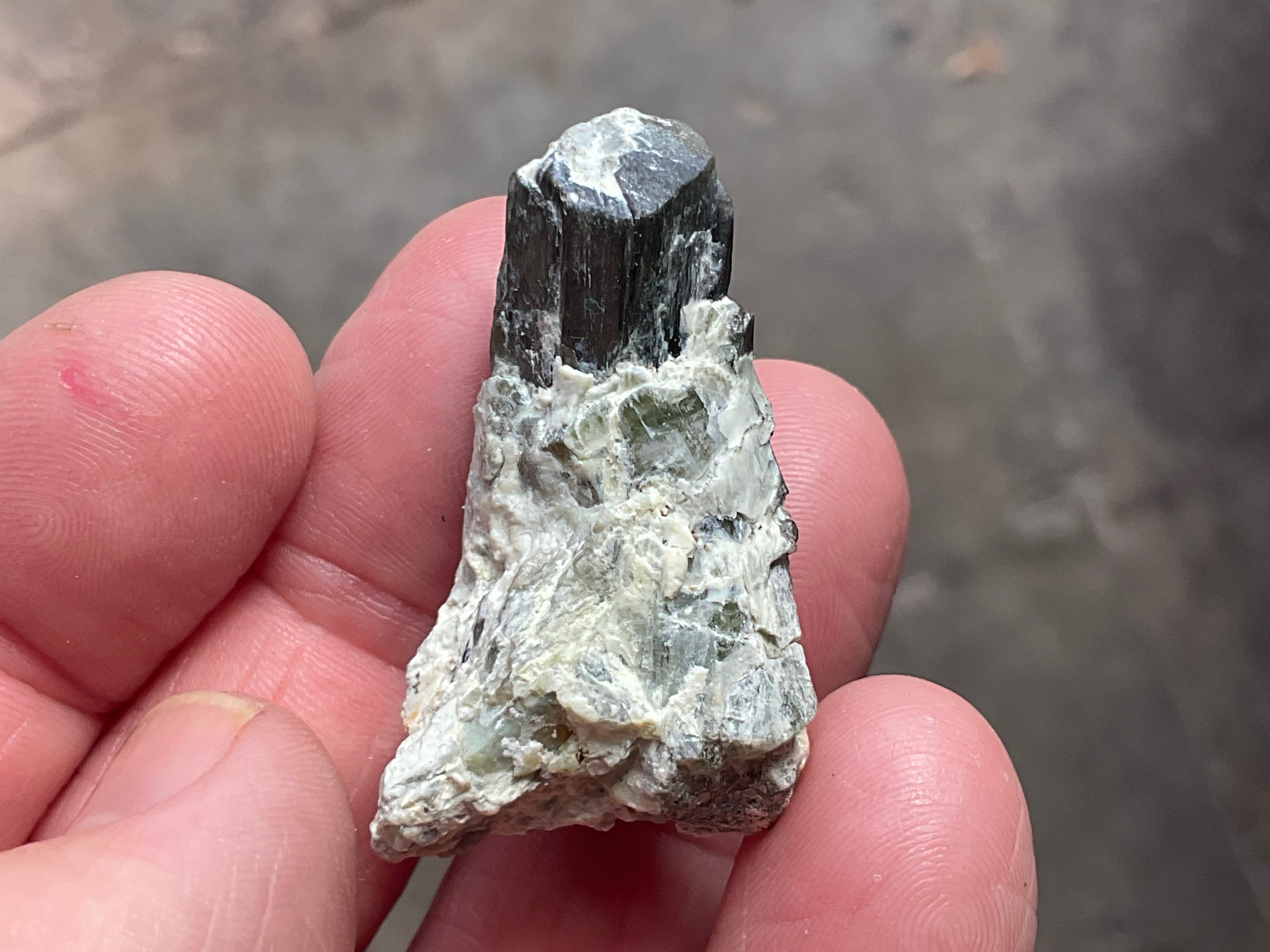 16g Diopside Crystal Specimen 3C from Yinnietharra, Australia