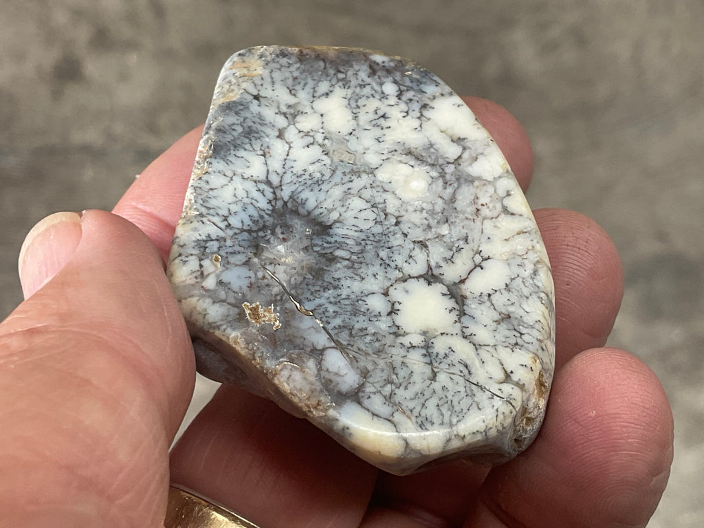 48g Australian Dendritic Common Opal Polished Piece A