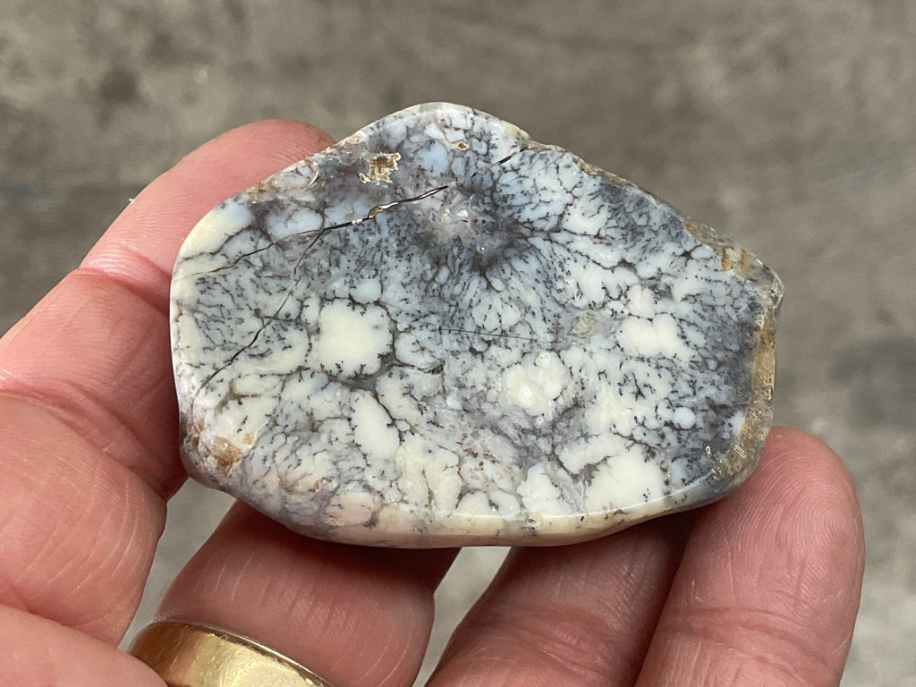 48g Australian Dendritic Common Opal Polished Piece A