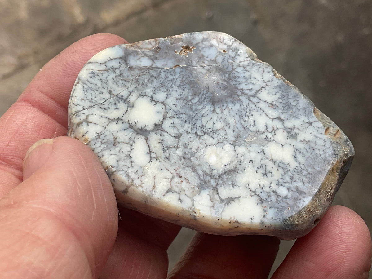 48g Australian Dendritic Common Opal Polished Piece A